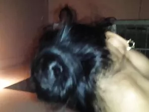 Famoso en sex mex es ...