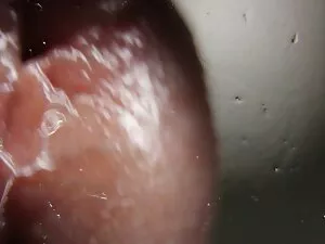 Una perra joven foll ...