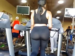 Conocedor musculoso  ...