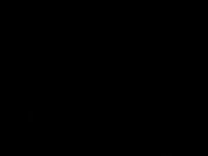 Secretaria obediente ...