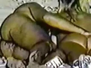 Habiendo regresado t ...